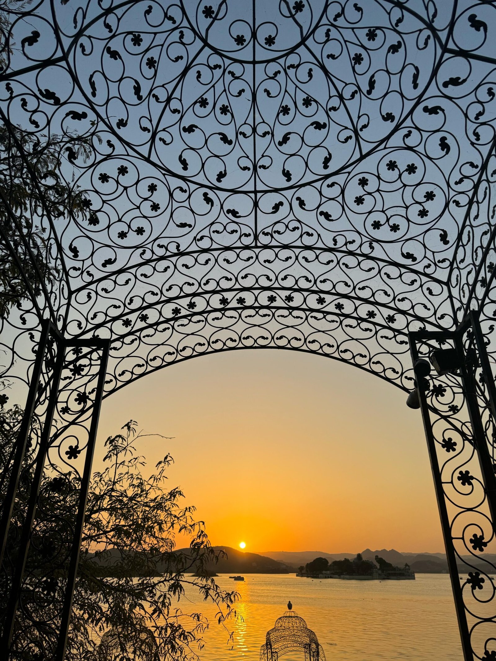 WhatsApp Image 2025-03-06 at 3.11.42 PM (1) WhatsApp Image 2025-03-06 at 3.11.42 PM (1)