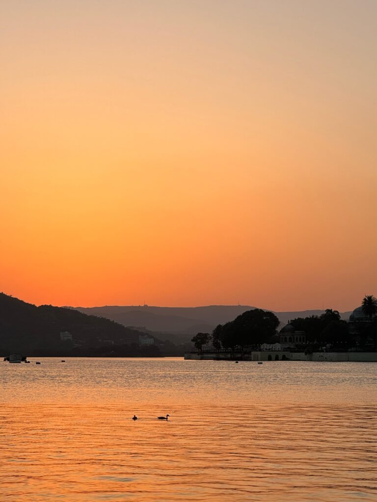 WhatsApp Image 2025-03-06 at 3.11.43 PM (1) WhatsApp Image 2025-03-06 at 3.11.43 PM (1)